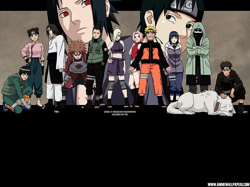 Naruto Rookie 12 Wall Hanging Scroll – Team 8 Kiba Akamaru & Friends