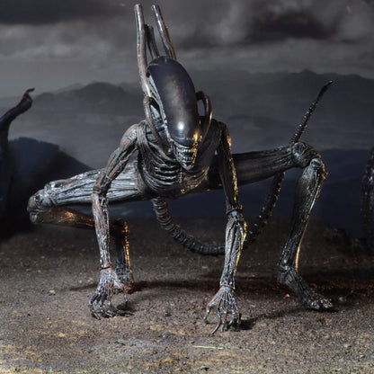NECCA Alien Xenomorph Warrior Action Figure – 7 Inch Sci-Fi Collectible